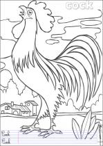 coloriage-coq-1
